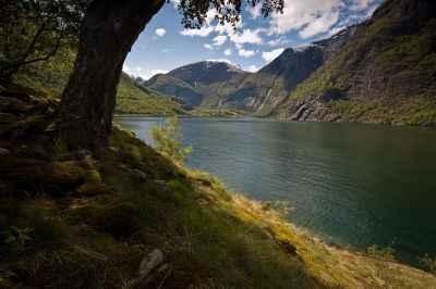 Click to view full size image