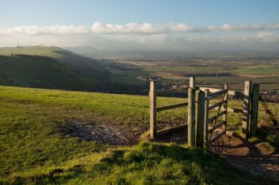 Click to view full size image