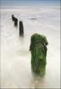 536 Groynes ecopy.jpg