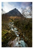 Buchaille-Etive-Mor---WEB.jpg