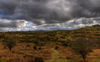 Dartmoor hill HDR 1.jpg