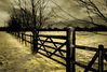 Field Gate1x2.jpg