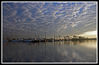 IMG_4389-1.jpg