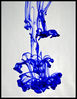 IMG_5918-web_edited-1.jpg