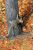 IMG_5994-web.jpg