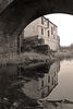 IMG_7242-web.jpeg