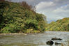 IMG_8382-1web.jpg