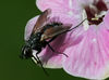 JY5V5514-web.jpg