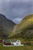 Filename=Kardal.jpg
Filesize=284KiB
Dimensions=681x1024
Date added=Dec 15, 2009 Kardal.jpg