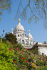 MonMartre.jpg