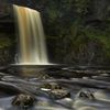 Thornton Force large square sm.jpg