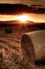 sunset-straw-bale.jpg
